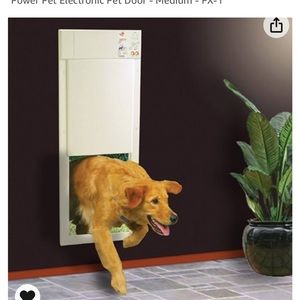 Automatic doggy door